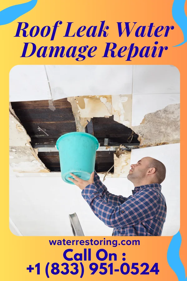 Roof Leak Water Damage Repair in Brownsboro Village, KY