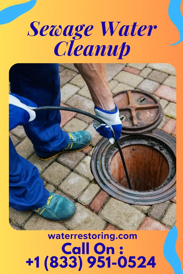 Sewage Water Cleanup in Brownsboro Village, KY