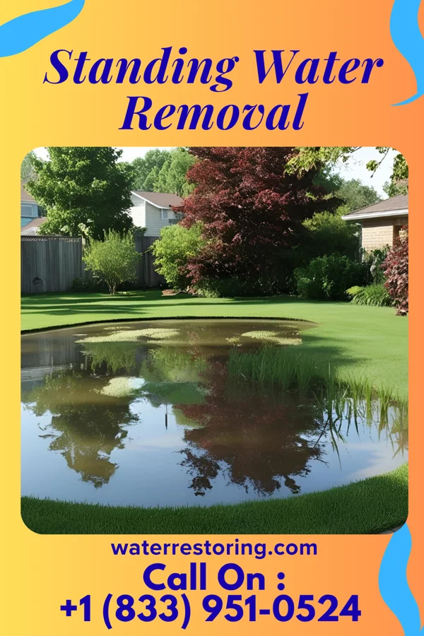 Standing Water Removal in Brownsboro Village, KY